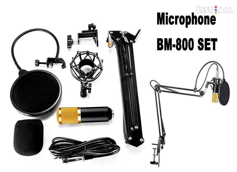 Microphone BM800 +