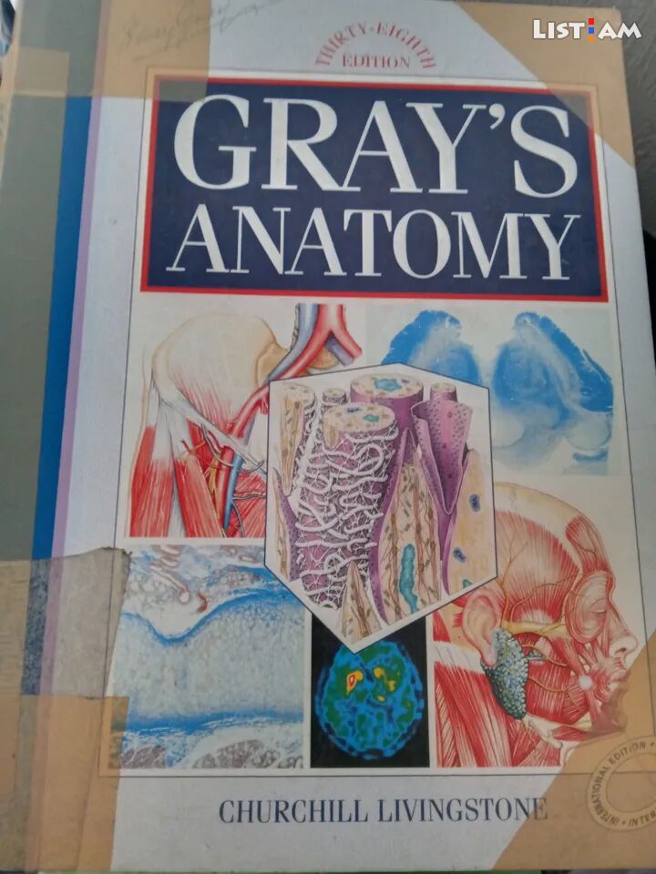 Grays anatomy by