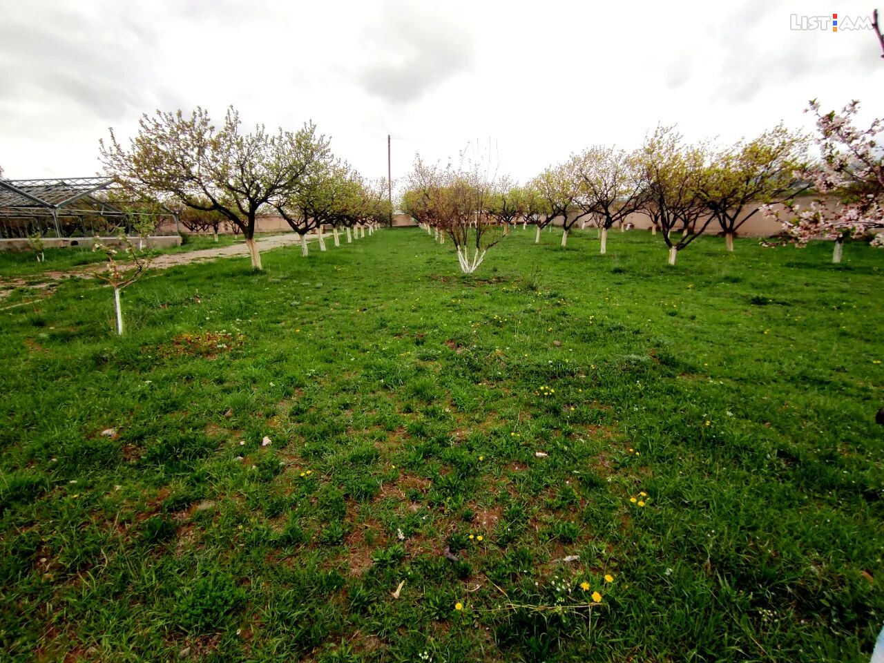 Agricultural plot,