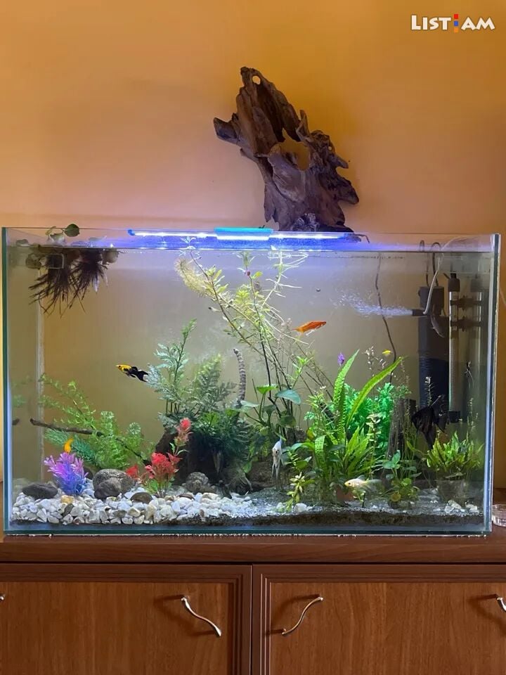 Aquarium 300 liter