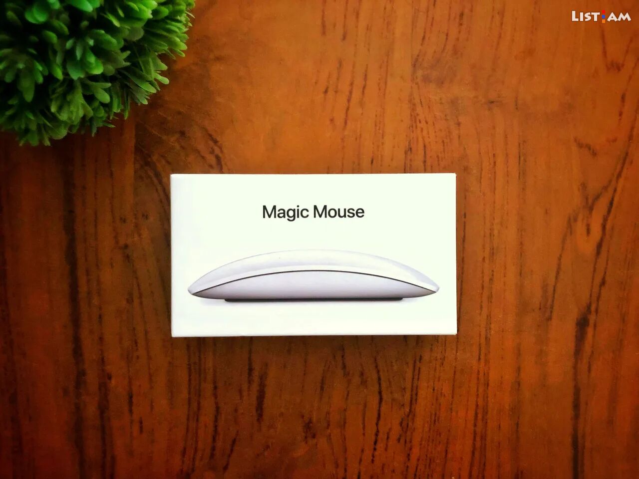 Magic Mouse 2 Silver