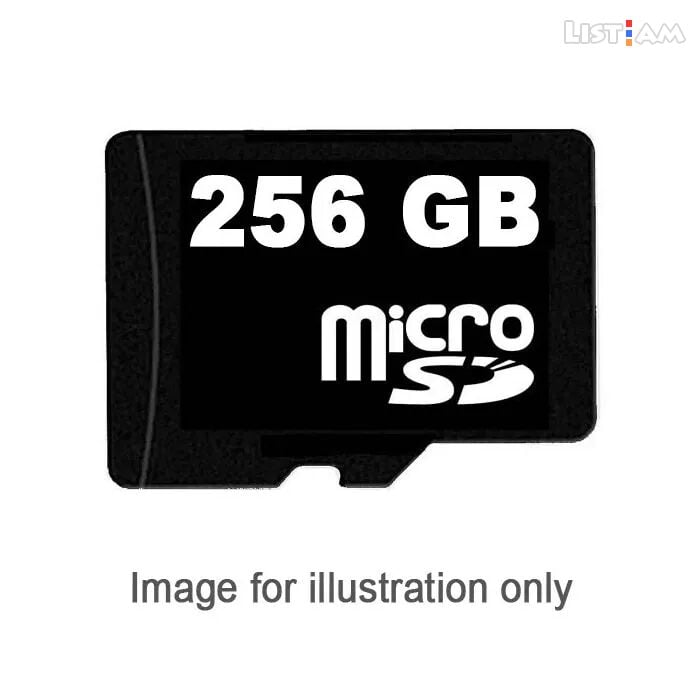 Micro SD չիպ