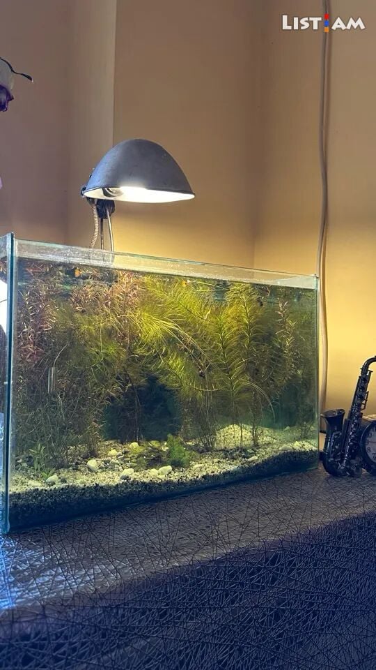Aquarium 60 liter