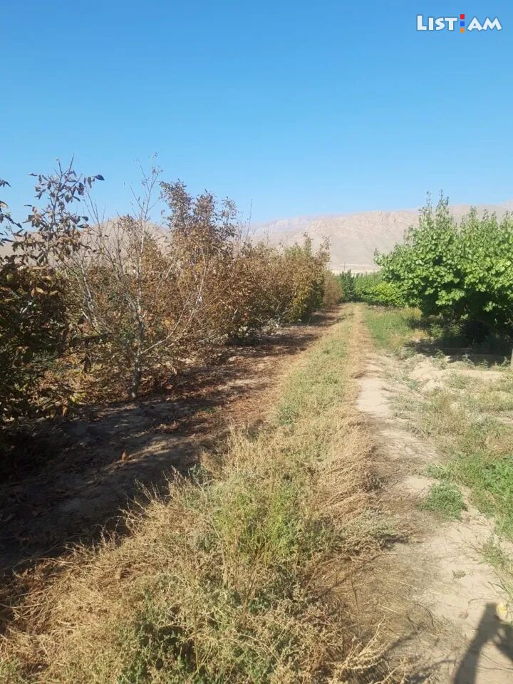 Agricultural plot in