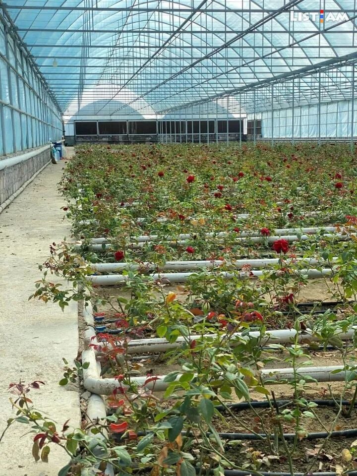 Agricultural Space,