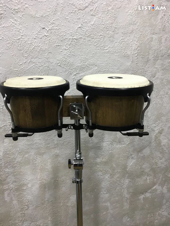 Conga congas bongo