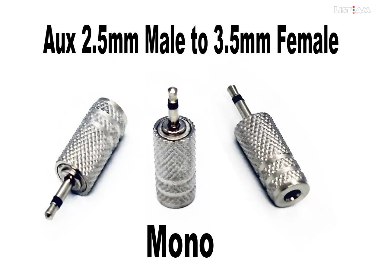Aux 2.5mm Male to