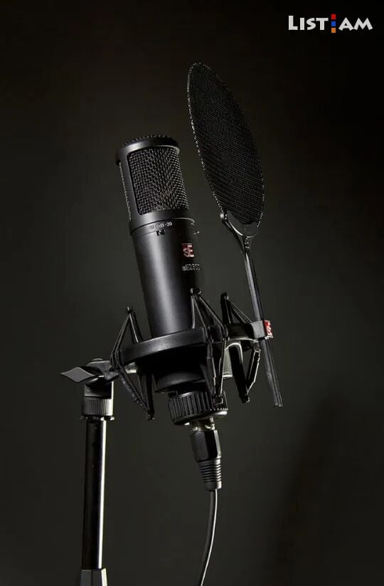 Studio microphone SE