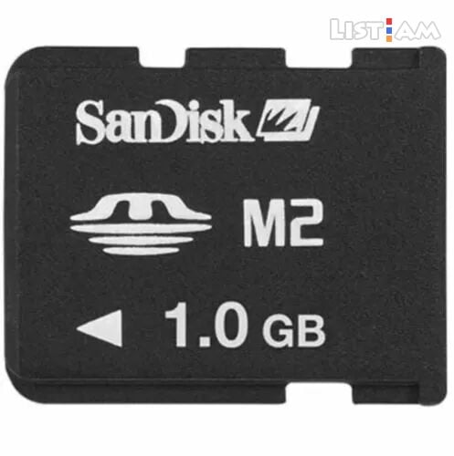 SanDisk M2 1GB