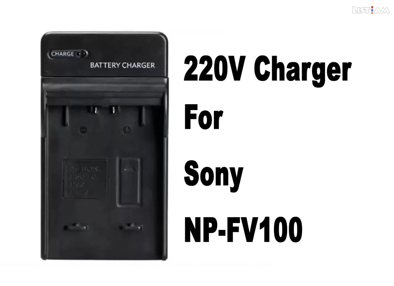 Sony NP-FV100