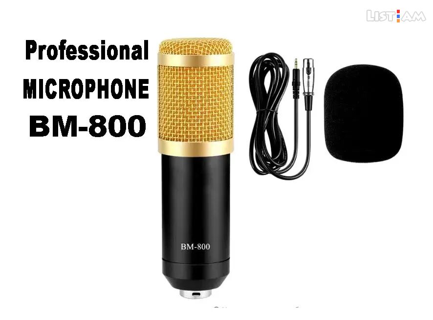 Microphone BM800 -