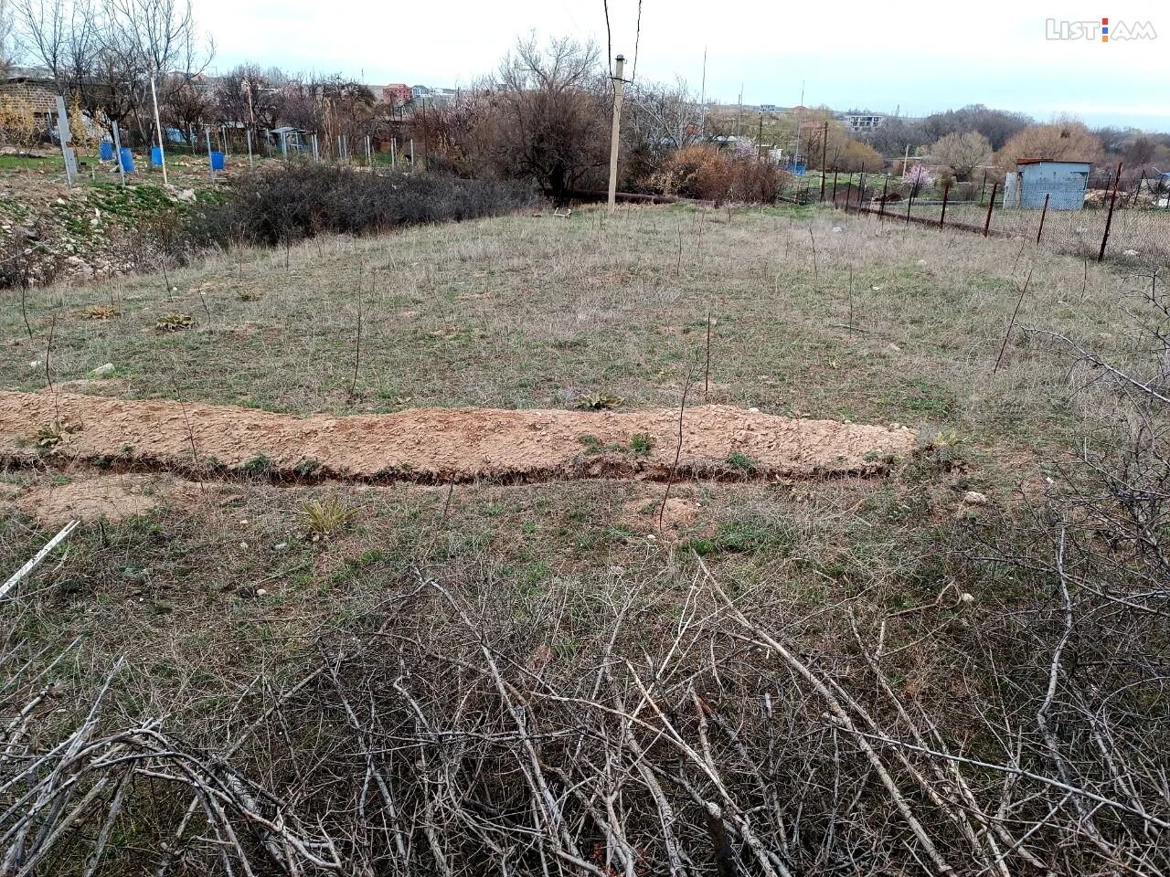 Agricultural plot,