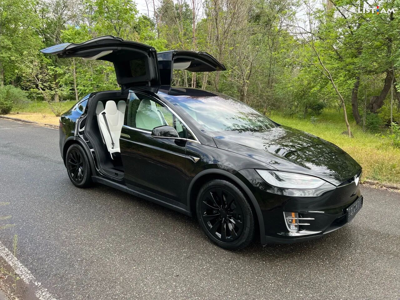 Tesla Model X,