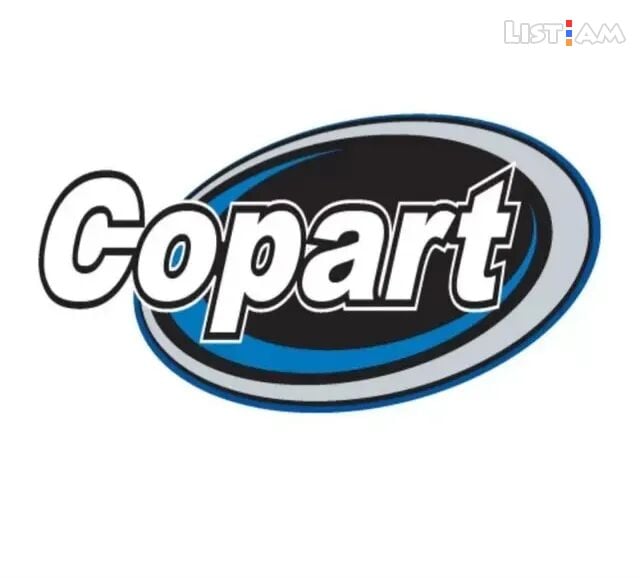 LevMarcars Copart