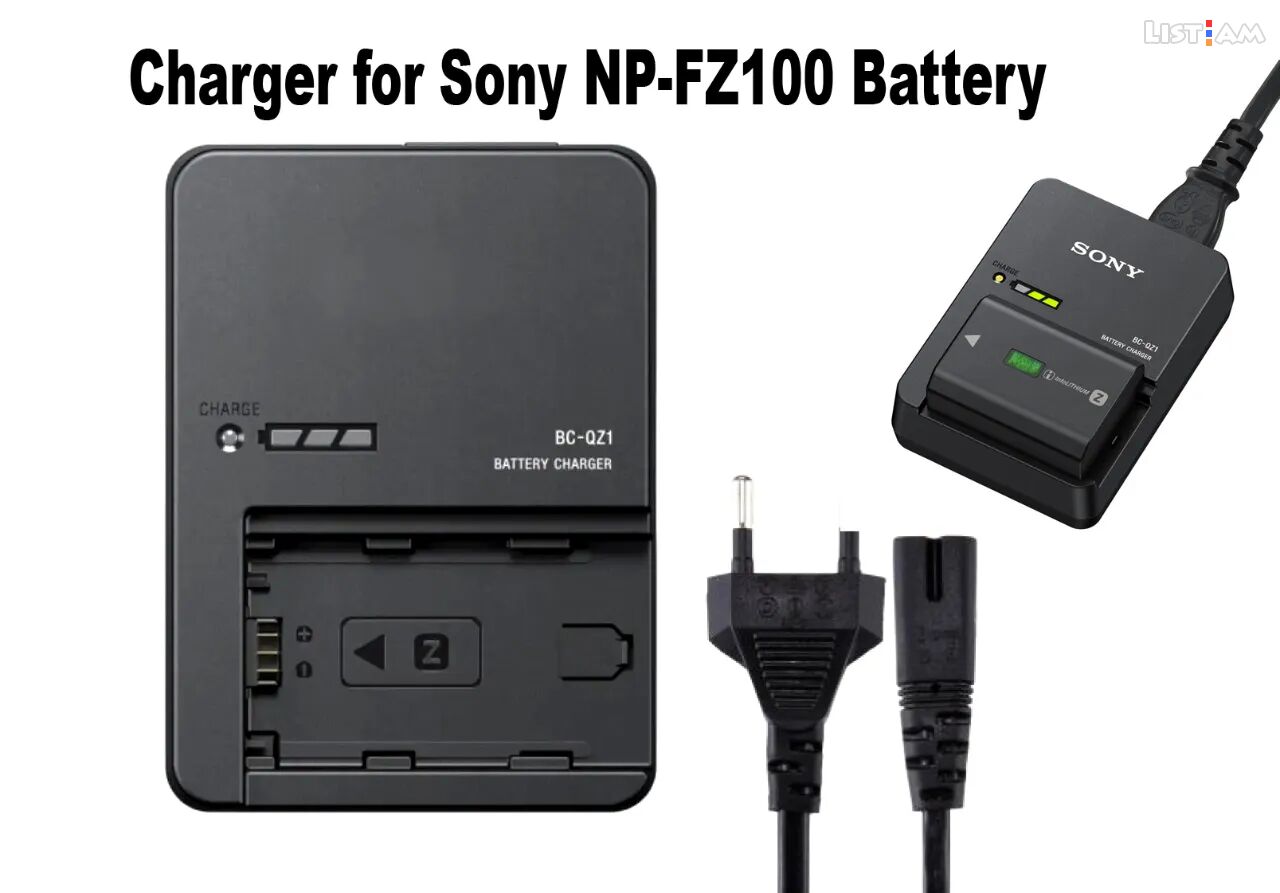 Sony NP-FZ100