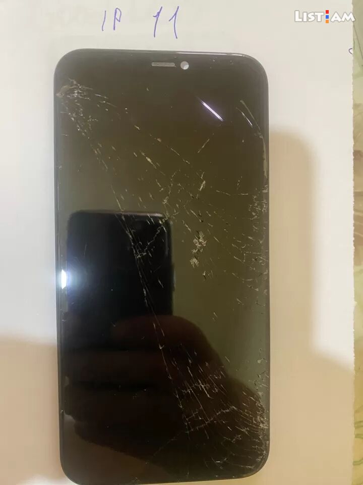 LCD iPhone 11